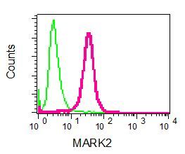 Flow cytometry of permeabilized Raji cells using anti-MARK2 antibody (red)or a rabbit IgG (negative) (green).