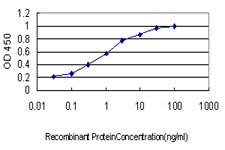 Detection limit for recombinant GST tagged MARK2 is approximately 0.03 ng/ml as a capture antibody.
