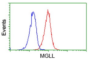 Flow cytometry of Jurkat cells, using anti-MGLL antibody (Red), compared to a nonspecific negative control antibody (Blue).