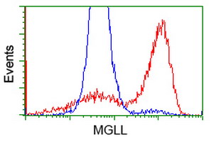 HEK293T cells transfected with either overexpress plasmid (Red) or empty vector control plasmid (Blue) were immunostained by anti-MGLL antibody, and then analyzed by flow cytometry.