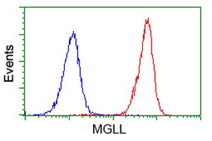 Flow cytometry of Jurkat cells, using anti-MGLL antibody (Red), compared to a nonspecific negative control antibody (Blue).