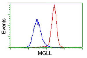 Flow cytometry of HeLa cells, using anti-MGLL antibody (Red), compared to a nonspecific negative control antibody (Blue).