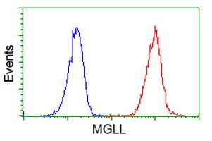 Flow cytometry of Jurkat cells, using anti-MGLL antibody (Red), compared to a nonspecific negative control antibody (Blue).
