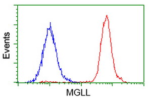 Flow cytometry of HeLa cells, using anti-MGLL antibody (Red), compared to a nonspecific negative control antibody (Blue).