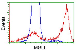 HEK293T cells transfected with either overexpress plasmid (Red) or empty vector control plasmid (Blue) were immunostained by anti-MGLL antibody, and then analyzed by flow cytometry.