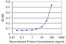 Detection limit for recombinant GST tagged MIB1 is 3 ng/ml as a capture antibody.