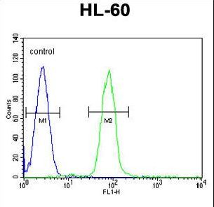 MART-1/Melan-A Antibody flow cytometry of HL-60 cells (right histogram) compared to a negative control cell (left histogram). FITC-conjugated goat-anti-rabbit secondary antibodies were used for the analysis.