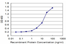 Detection limit for recombinant GST tagged NELL1 is approximately 1 ng/ml as a capture antibody.