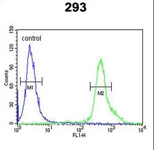 TP73 Antibody flow cytometry of 293 cells (right histogram) compared to a negative control cell (left histogram). FITC-conjugated goat-anti-rabbit secondary antibodies were used for the analysis.