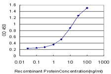 Detection limit for recombinant GST tagged TPBG is approximately 0.1 ng/ml as a capture antibody.