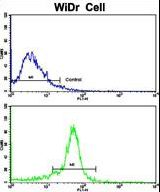 Flow cytometric of widr cells using TPH1 Antibody (bottom histogram) compared to a negative control cell (top histogram). FITC-conjugated goat-anti-rabbit secondary antibodies were used for the analysis.