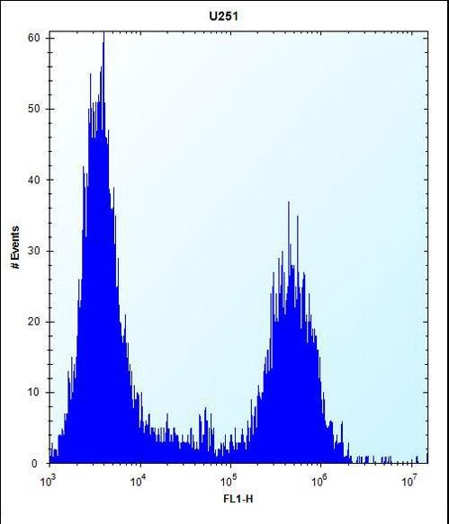 TPM4 Antibody flow cytometry of U251 cells (right histogram) compared to a negative control cell (left histogram). FITC-conjugated goat-anti-rabbit secondary antibodies were used for the analysis.