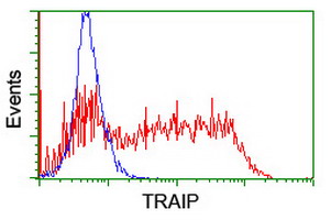 HEK293T cells transfected with either overexpress plasmid (Red) or empty vector control plasmid (Blue) were immunostained by anti-TRAIP antibody, and then analyzed by flow cytometry.