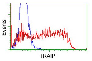 HEK293T cells transfected with either overexpress plasmid (Red) or empty vector control plasmid (Blue) were immunostained by anti-TRAIP antibody, and then analyzed by flow cytometry.