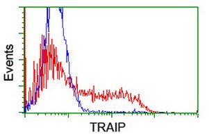 HEK293T cells transfected with either overexpress plasmid (Red) or empty vector control plasmid (Blue) were immunostained by anti-TRAIP antibody, and then analyzed by flow cytometry.