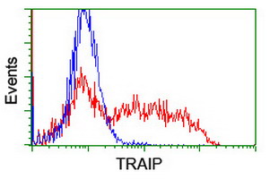 HEK293T cells transfected with either overexpress plasmid (Red) or empty vector control plasmid (Blue) were immunostained by anti-TRAIP antibody, and then analyzed by flow cytometry.