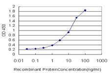 Detection limit for recombinant GST tagged TRAPPC2 is approximately 0.3 ng/ml as a capture antibody.