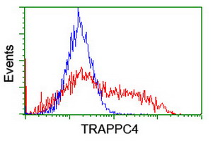 HEK293T cells transfected with either overexpress plasmid (Red) or empty vector control plasmid (Blue) were immunostained by anti-TRAPPC4 antibody, and then analyzed by flow cytometry.