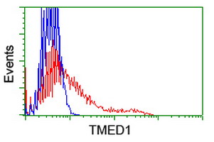 HEK293T cells transfected with either overexpress plasmid (Red) or empty vector control plasmid (Blue) were immunostained by anti-TMED1 antibody, and then analyzed by flow cytometry.
