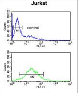 TPC6A Antibody flow cytometry of Jurkat cells (bottom histogram) compared to a negative control cell (top histogram). FITC-conjugated goat-anti-rabbit secondary antibodies were used for the analysis.