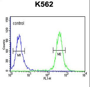 TREF1 Antibody flow cytometry of K562 cells (right histogram) compared to a negative control cell (left histogram). FITC-conjugated goat-anti-rabbit secondary antibodies were used for the analysis.