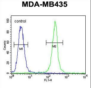 TRHDE Antibody flow cytometry of MDA-MB435 cells (right histogram) compared to a negative control cell (left histogram). FITC-conjugated goat-anti-rabbit secondary antibodies were used for the analysis.