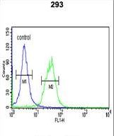TRIB2 Antibody flow cytometry of 293 cells (right histogram) compared to a negative control cell (left histogram). FITC-conjugated goat-anti-rabbit secondary antibodies were used for the analysis.