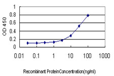 Detection limit for recombinant GST tagged TRIM36 is approximately 1 ng/ml as a capture antibody.