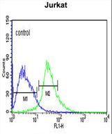 TRIM50 Antibody flow cytometry of Jurkat cells (right histogram) compared to a negative control cell (left histogram). FITC-conjugated goat-anti-rabbit secondary antibodies were used for the analysis.