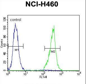 TRIM65 Antibody flow cytometry of NCI-H460 cells (right histogram) compared to a negative control cell (left histogram). FITC-conjugated goat-anti-rabbit secondary antibodies were used for the analysis.
