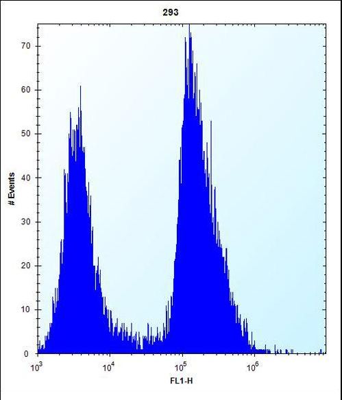 TRIP13 Antibody flow cytometry of 293 cells (right histogram) compared to a negative control cell (left histogram). FITC-conjugated goat-anti-rabbit secondary antibodies were used for the analysis.