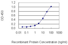 Detection limit for recombinant GST tagged TRPC1 is 0.3 ng/ml as a capture antibody.