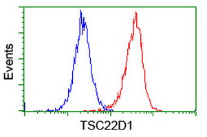 Flow cytometry of Jurkat cells, using anti-TSC22D1 antibody (Red), compared to a nonspecific negative control antibody (Blue).