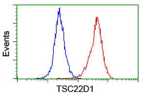 Flow cytometry of HeLa cells, using anti-TSC22D1 antibody (Red), compared to a nonspecific negative control antibody (Blue).