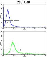 Flow cytometric of 293 cells using SDCCAG33 Antibody (bottom histogram) compared to a negative control cell (top histogram). FITC-conjugated goat-anti-rabbit secondary antibodies were used for the analysis.