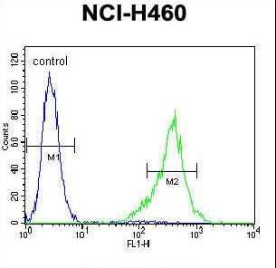 TSNARE1 Antibody flow cytometry of NCI-H460 cells (right histogram) compared to a negative control cell (left histogram). FITC-conjugated goat-anti-rabbit secondary antibodies were used for the analysis.