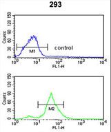 TSPAN12 Antibody flow cytometry of 293 cells (bottom histogram) compared to a negative control cell (top histogram). FITC-conjugated goat-anti-rabbit secondary antibodies were used for the analysis.