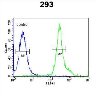 TSPAN3 Antibody flow cytometry of 293 cells (right histogram) compared to a negative control cell (left histogram). FITC-conjugated goat-anti-rabbit secondary antibodies were used for the analysis.
