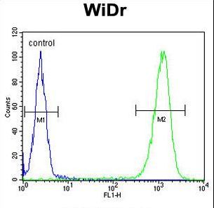TSPAN33 Antibody flow cytometry of WiDr cells (right histogram) compared to a negative control cell (left histogram). FITC-conjugated goat-anti-rabbit secondary antibodies were used for the analysis.