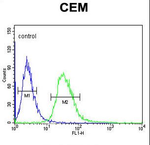 TSPAN7 Antibody flow cytometry of CEM cells (right histogram) compared to a negative control cell (left histogram). FITC-conjugated goat-anti-rabbit secondary antibodies were used for the analysis.