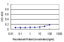 Detection limit for recombinant GST tagged BZRP is approximately 10 ng/ml as a capture antibody.
