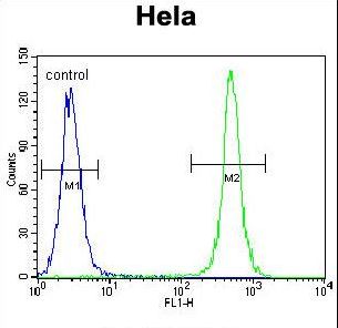 TSPYL6 Antibody flow cytometry of HeLa cells (right histogram) compared to a negative control cell (left histogram). FITC-conjugated goat-anti-rabbit secondary antibodies were used for the analysis.
