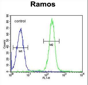 TTC9C Antibody flow cytometry of Ramos cells (right histogram) compared to a negative control cell (left histogram). FITC-conjugated goat-anti-rabbit secondary antibodies were used for the analysis.
