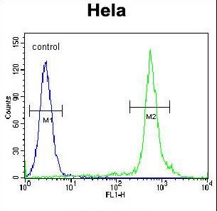 NKX2-1 Antibody flow cytometry of HeLa cells (right histogram) compared to a negative control cell (left histogram). FITC-conjugated goat-anti-rabbit secondary antibodies were used for the analysis.