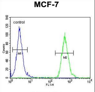 TTPAL Antibody flow cytometry of MCF-7 cells (right histogram) compared to a negative control cell (left histogram). FITC-conjugated goat-anti-rabbit secondary antibodies were used for the analysis.