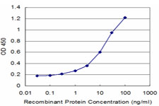 Detection limit for recombinant GST tagged TUBA3 is approximately 0.3 ng/ml as a capture antibody.