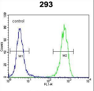 PTK9L Antibody flow cytometry of 293 cells (right histogram) compared to a negative control cell (left histogram). FITC-conjugated goat-anti-rabbit secondary antibodies were used for the analysis.