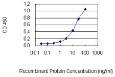 Detection limit for recombinant GST tagged TCOF1 is 0.3 ng/ml as a capture antibody.