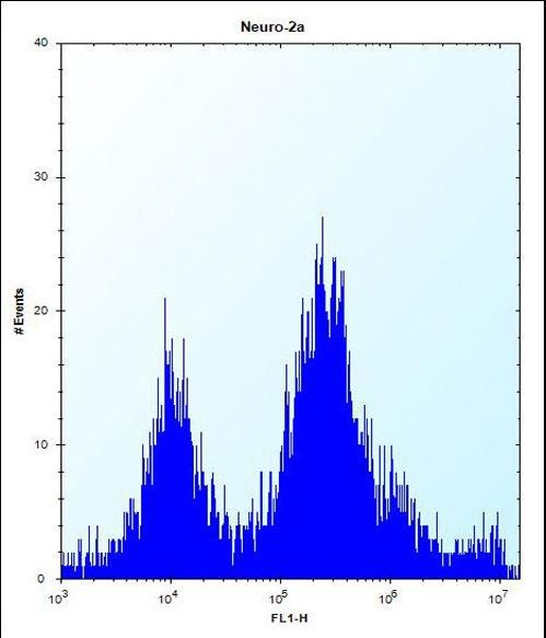 UBE2E2 Antibody flow cytometry of Neuro-2a cells (right histogram) compared to a negative control cell (left histogram). FITC-conjugated donkey-anti-rabbit secondary antibodies were used for the analysis.