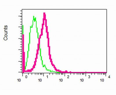 Flow cytometry of permeabilized Jurkat cells using anti-UBC13 antibody (red)or a rabbit IgG (negative) (green).